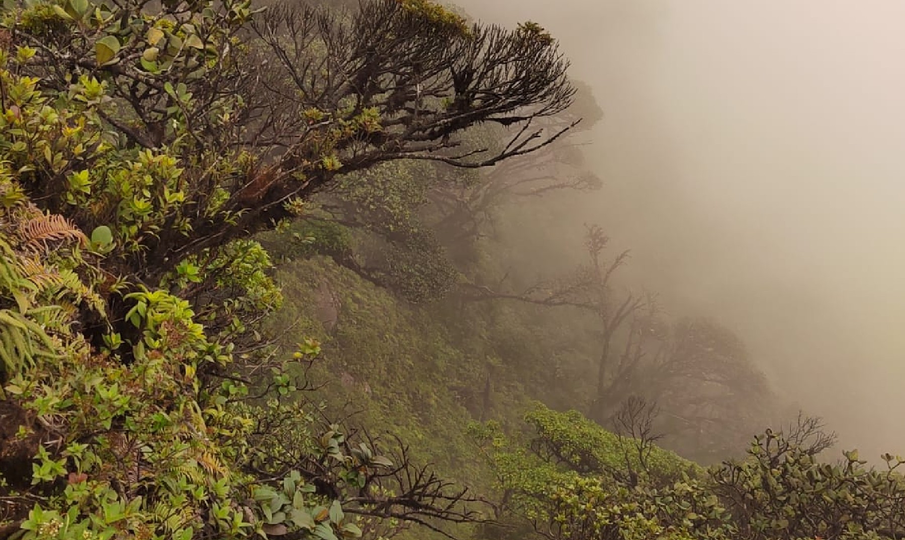 Parque Nacional Volcal Miravalles2