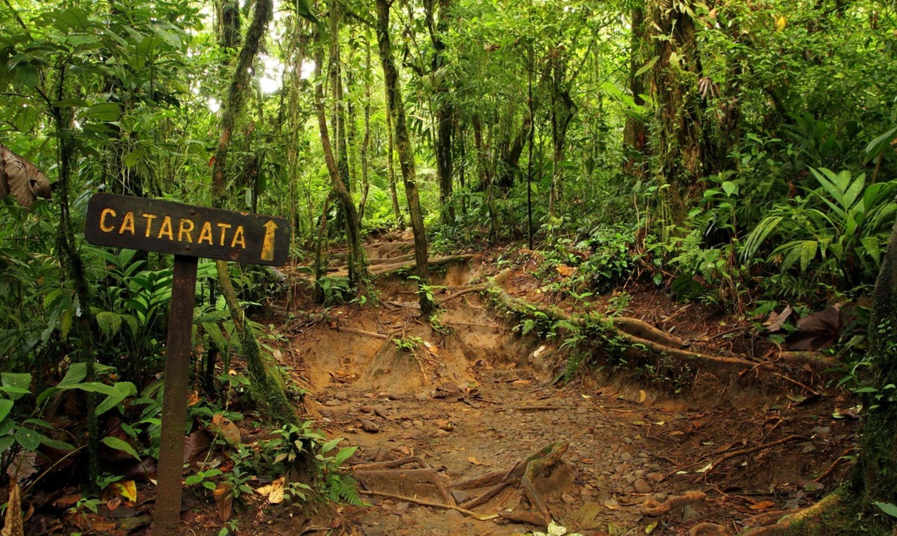 Parque Nacional Volcal Tenorio2