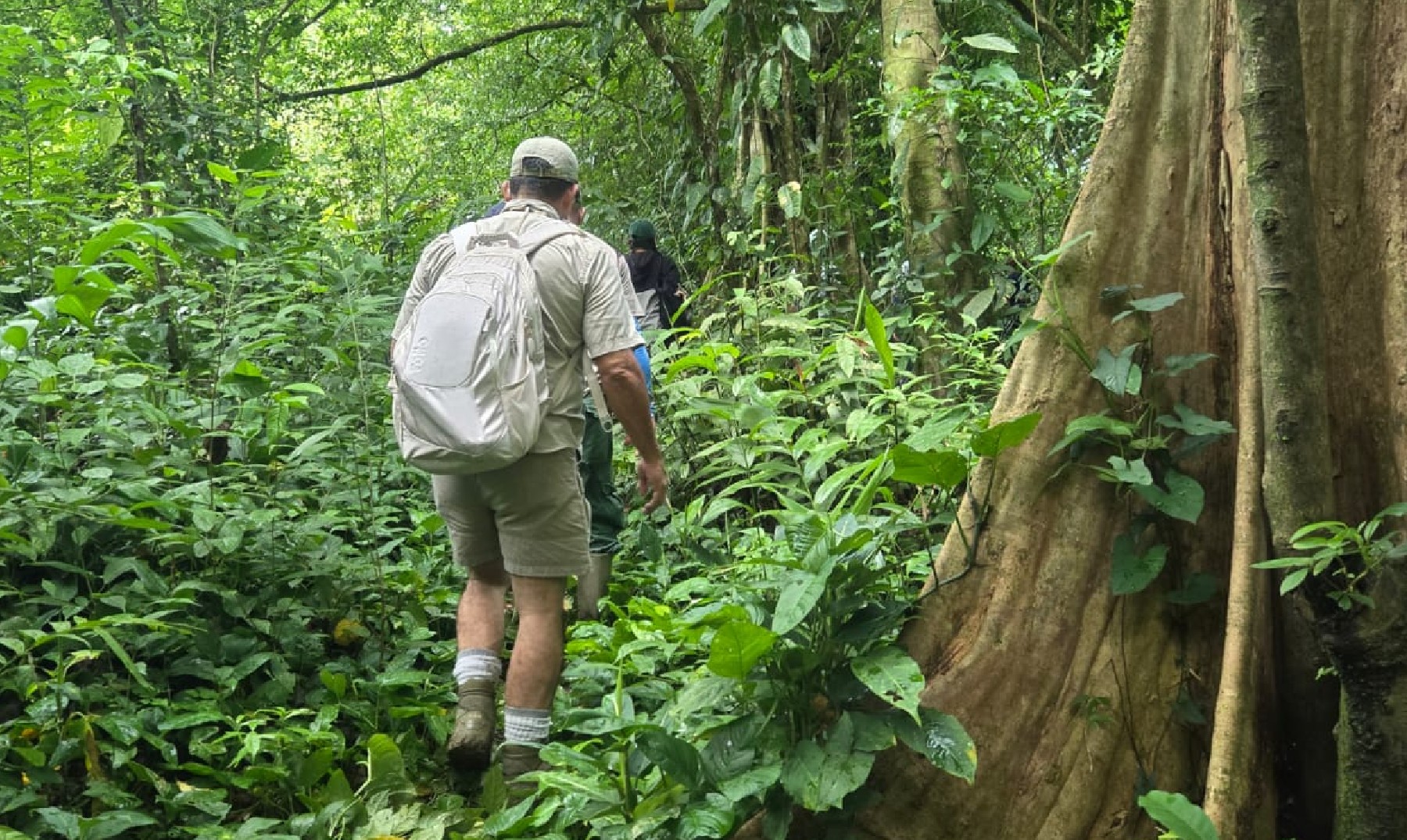Caminos entre naturaleza y paisaje